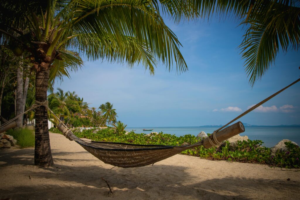 Relaxing hammock under palm trees on a tropical beach, perfect for a serene getaway.