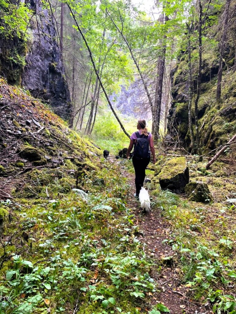 Värmland: Meren, bossen en trollen wandel4